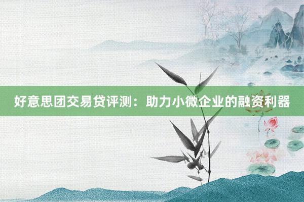 好意思团交易贷评测：助力小微企业的融资利器